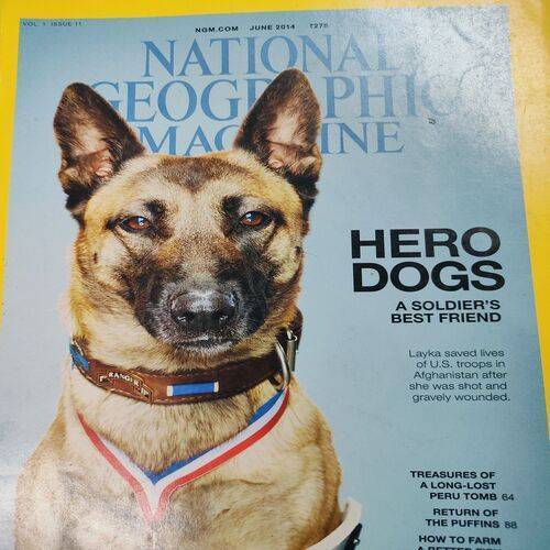 National Geographic ( Hero Dogs ) . Edition :- ( June - 2014 ) . No. Of Pages = 146 .