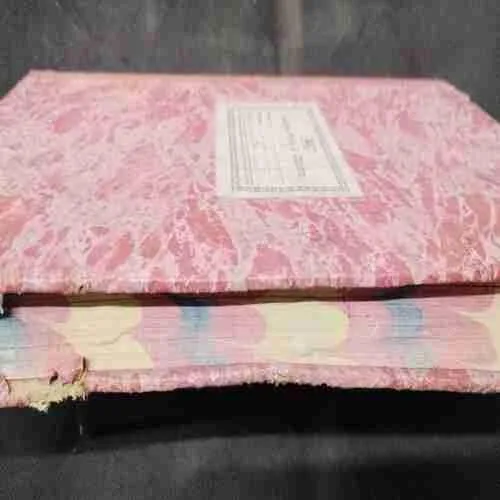 Ledger Book 2 Column