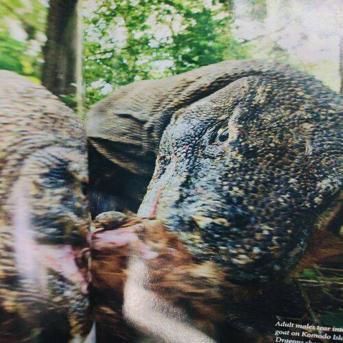 National Geographic ( Defenders Of The Amazon ) . Edition :- ( January - 2014 ) . No. Of Pages = 146 .