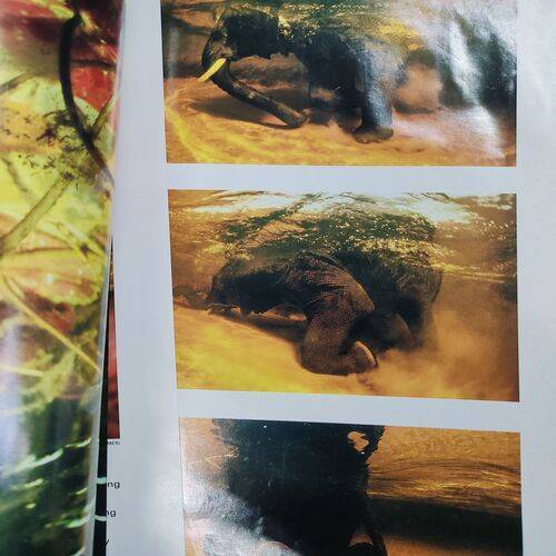 National Geographic ( Searching The Star For New Earths ) . Edition :- ( Dec - 2004 ). No. Of Pages = 134 .