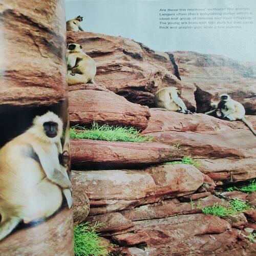 National Geographic ( Making Robots Human ) . Edition :- ( Aug - 2011 ) . No. Of Pages = 138 .