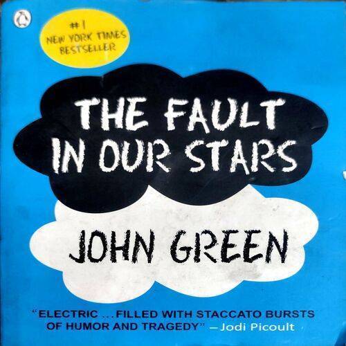 The Fault In Our Stars  (Page No. 338)