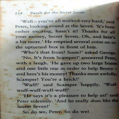 Puzzle For The Secret Seven (No. of pages. 156)