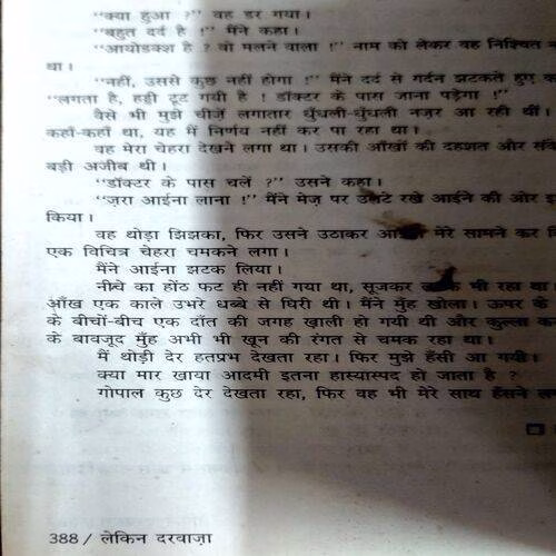 Lekin  Darwaza (No. of pages 388)