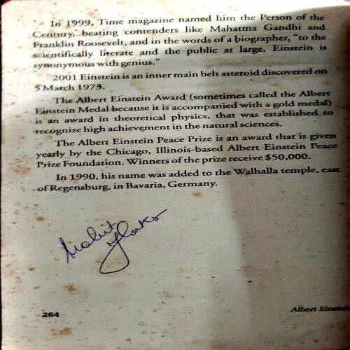 Albert Einstein (No. of pages 264)