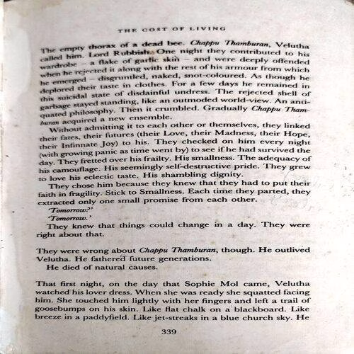 The God Of Small Things (No. of pages 340)