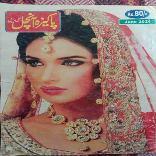 Pakeeza Aanchal (June 2024)