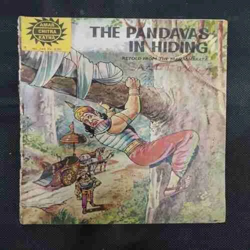 THE PANDAVAS IN HIDING