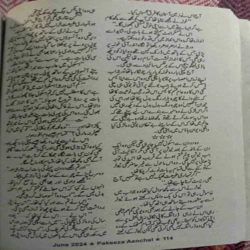 Pakeeza Aanchal (June 2024)