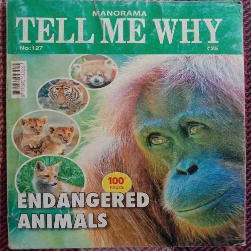 Tell Me Why (April 2017)