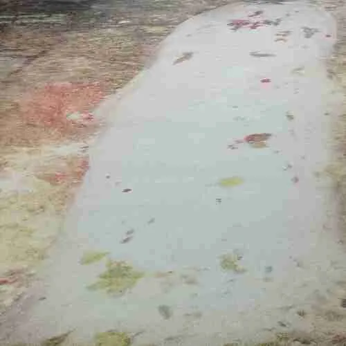 Kadambini (November 2000)(Coverless)