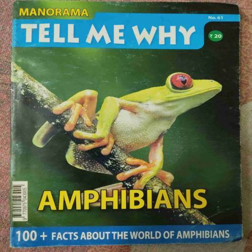 Tell Me Why (October 2011)