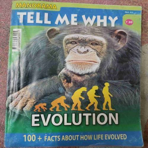 Tell Me Why (February 2012)