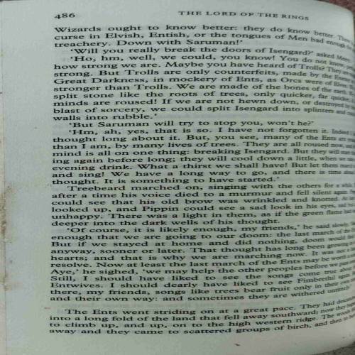 The Lord Of The Rings (By J.R.R. Tolkien) (No. Of Pages - 1178)