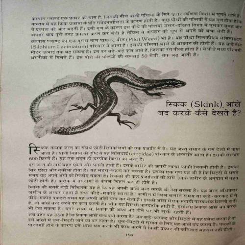 Children's Knowledge Bank (Volume-6) (No. Of Pages - 232)