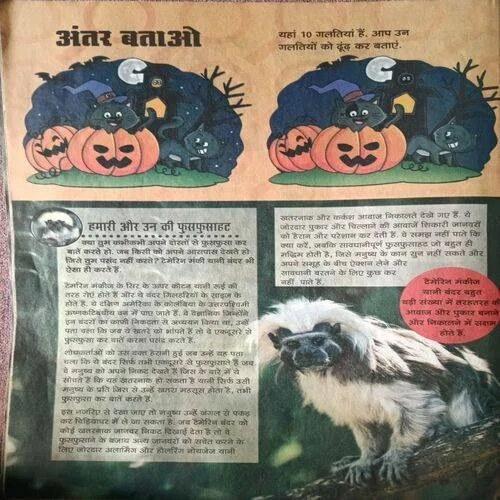 Champak ( October 2nd 2022 ) (Big Size) ( Back Cover Right Down Side Small Cut )
