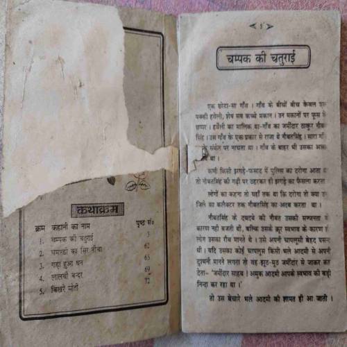 Champak Ki Chaturai (No. Of Pages - 80)