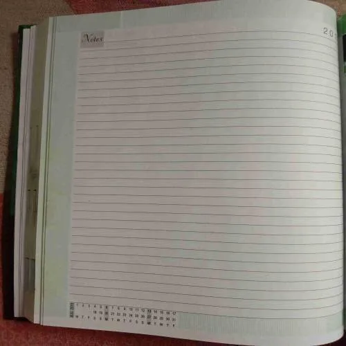 Diary 2018