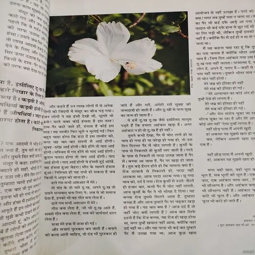 Osho World . Edition :- ( Aug - 2010 ).
