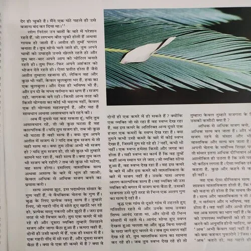 Osho World . Edition :- ( Aug - 2011 ).