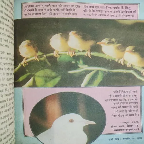 Kadambini . Edition : – ( May - 1998 ).