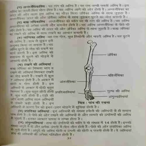 Pharst ed Praathamik Chikitsa (rs.60)