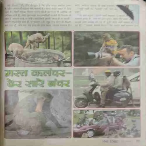 NANHE SAMRAT (November 2012)