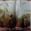 Osho Times (August 2008)
