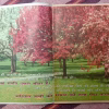 Osho Times (September 2000)