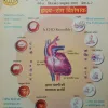 Niramay Jivan (September - October - 2002)