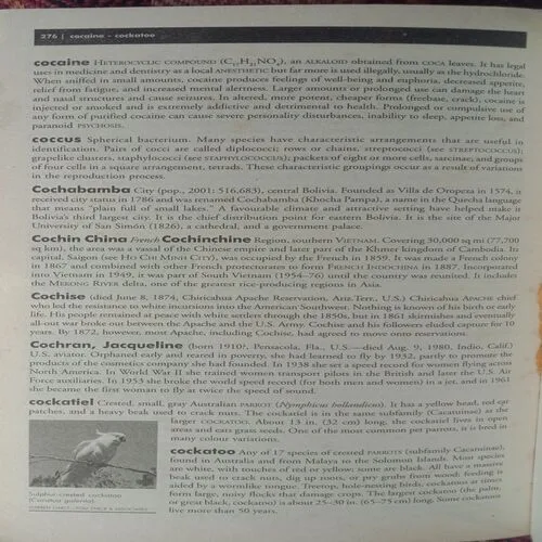 Britannica Ready Reference Encyclopedia (No. Of Pages – 276)