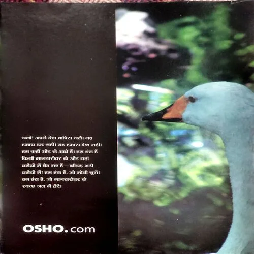 Osho Times (June 2004)
