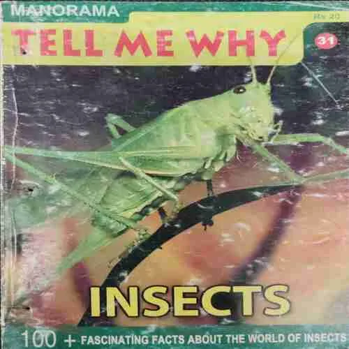 Tell Me Why (No.31)
