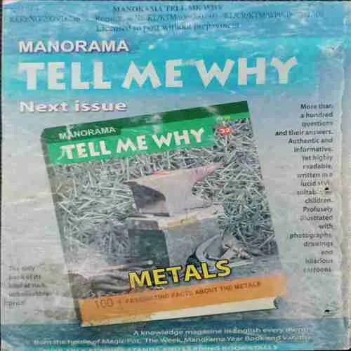 Tell Me Why (No.31)