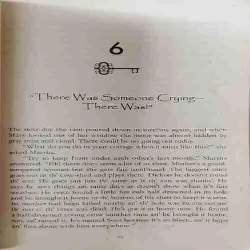 The Secret Carden  (Rs.630)