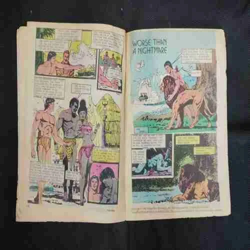 TARZAN (THE NEW COMMISSIONER)