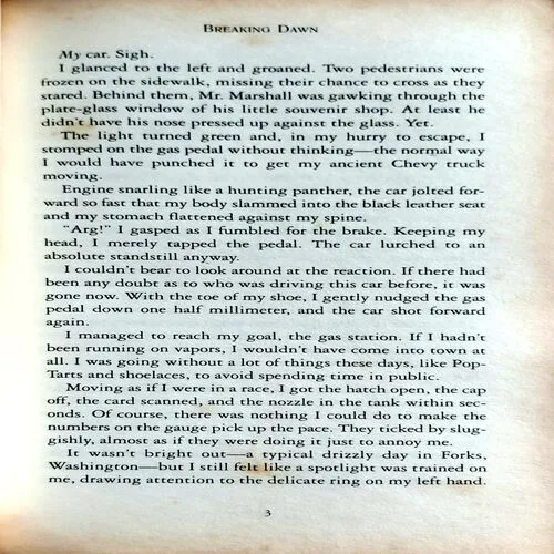 Breaking Dawn (No. of pages 222)
