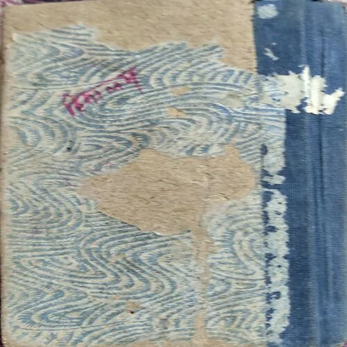 Ravindra Ki Kahaniyan (No. of pages 239)