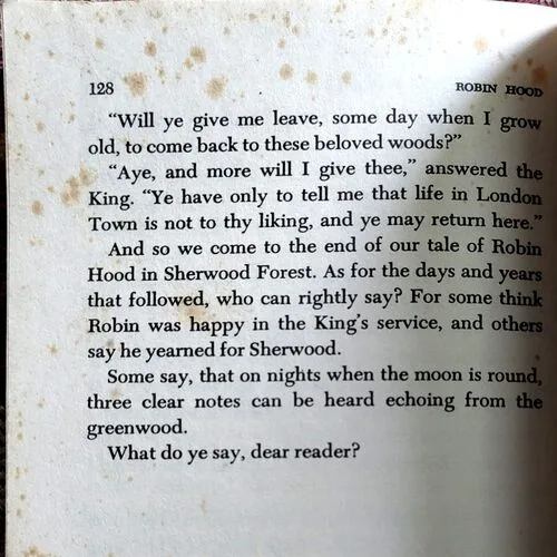Robin Hood (No. of pages 128)
