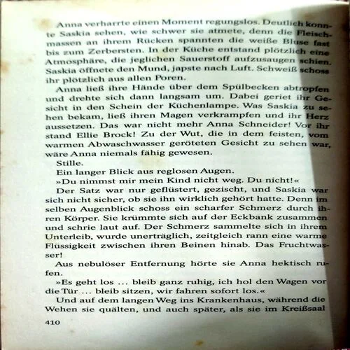 Hanschein Klein (No. of pages 410)