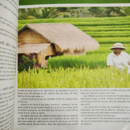 Yes Osho . Edition :- ( June - 2013 ) .