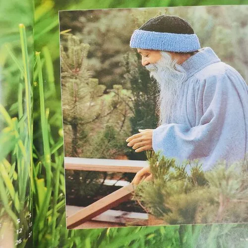 Yes Osho . Edition :- ( Feb - 2011 ) .