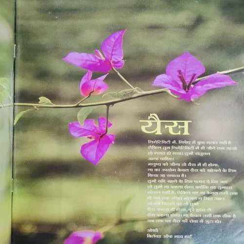 Yes Osho . Edition :- ( Aug - 2010 ) .