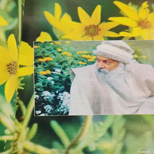 Yes Osho . Edition :- ( May - 2010 ) .
