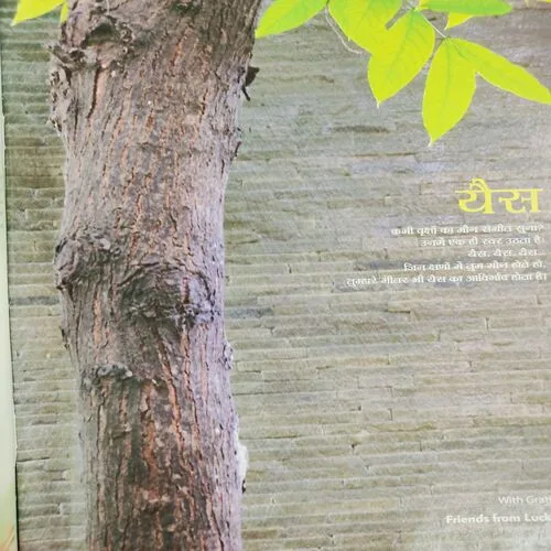 Yes Osho . Edition :- ( Sept - 2012 ) .