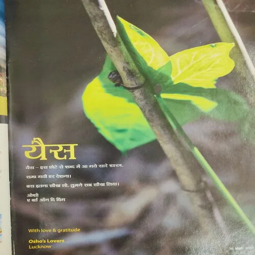 Yes Osho . Edition :- ( January - 2012 ) .