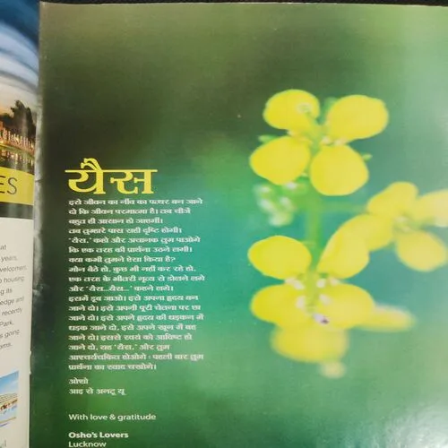 Yes Osho . Edition :- ( Sept - 2011 ) .