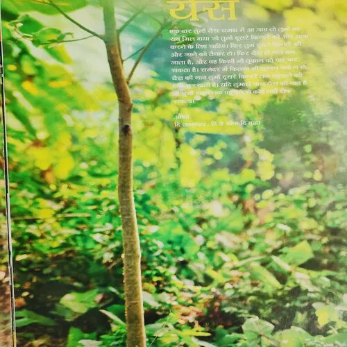 Yes Osho . Edition :- ( June - 2011 ) .