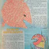 Magic Pot ( June 2008 ) ( Big Cut In Front Page )