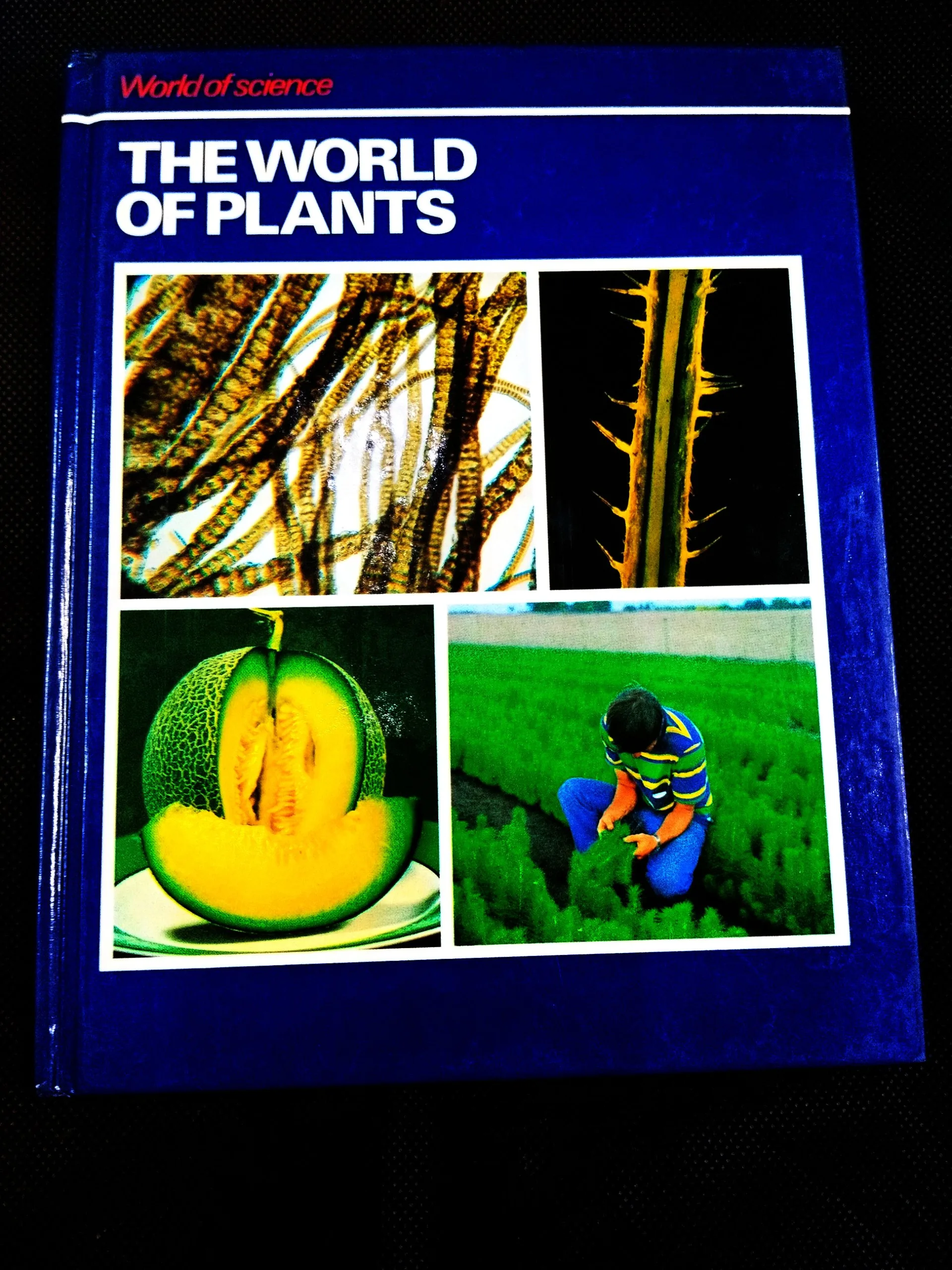 The World Of Plants .
